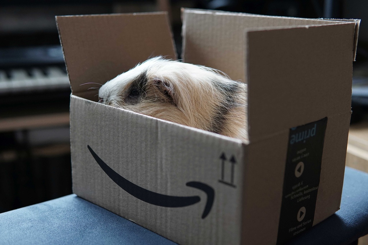 Cómo elegir el mejor producto en Amazon